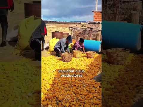 El INE socializó el objetivo del Censo Agropecuario en Pampas de Lequezana