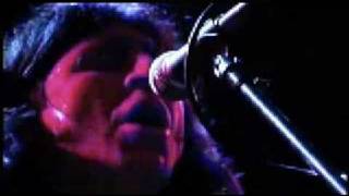 the chameleons-pleasure and pain