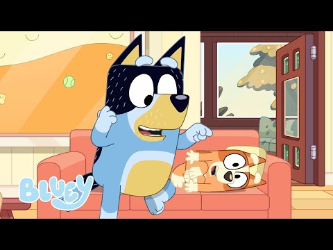 Capa de Pequenas Histórias com Bluey - Episódios Completos Parte 1 💙 | Bluey Português Brasil Canal Oficial
