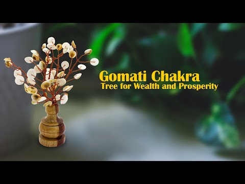 Gomati Chakra Tree for Wealth and Prosperity video
