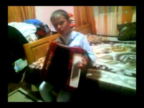 Emanuel Lungu-Tradafir din Lunca Banului