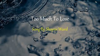 Shayne Ward - Too Much To Lose