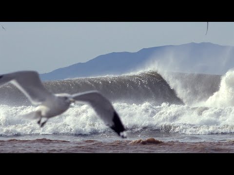 Josh Pomer Surfing  and SurfingLegends