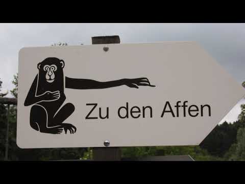 Urlaub am Bodensee Teil 1