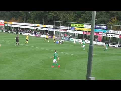 Owios tegen Vsco // Samenvatting // 2-2