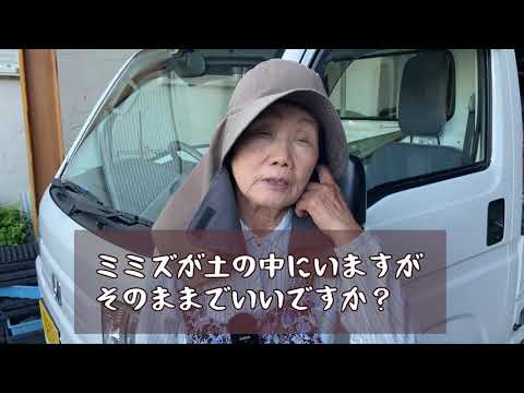 家庭菜園のミミズは屋内での使用に適しています ミミズ堆肥化設備