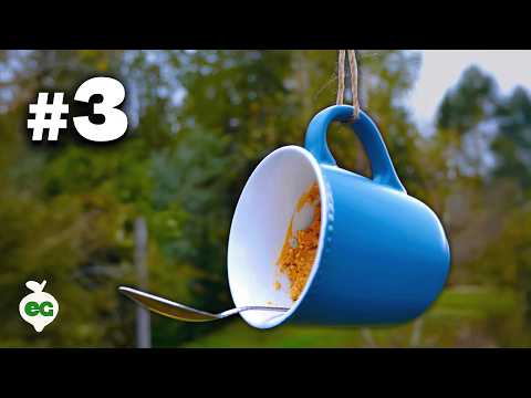 Garden With Me Starting Seeds Pruning Composting