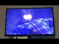 Random Video 15