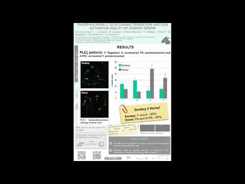 Phospholipase C zeta characterization and egg activation ability of donkey sperm