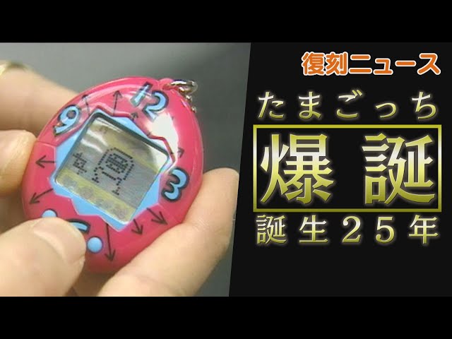 たまごっち チームたいこー！カードでパワーUP！ たまごっちスクール