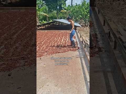 Travesía en bici - la salina Casanare #mtb #cacao #cuerpofitnes