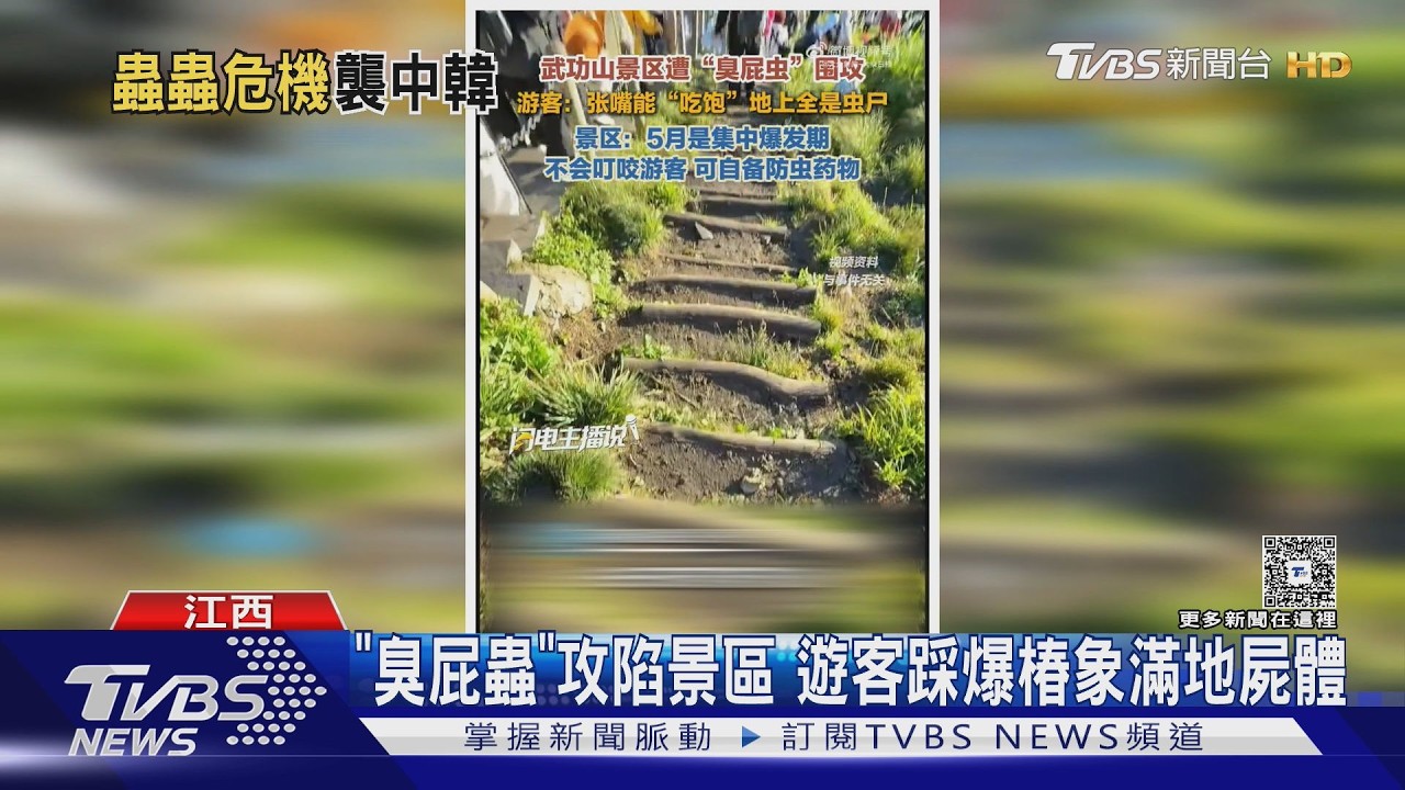 武功山爆椿象蟲害!遊客「張嘴就能吃飽」 南韓愛情蟲也現蹤