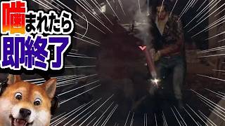 噛まれたら即終了 バイオハザードRE:4 / part422