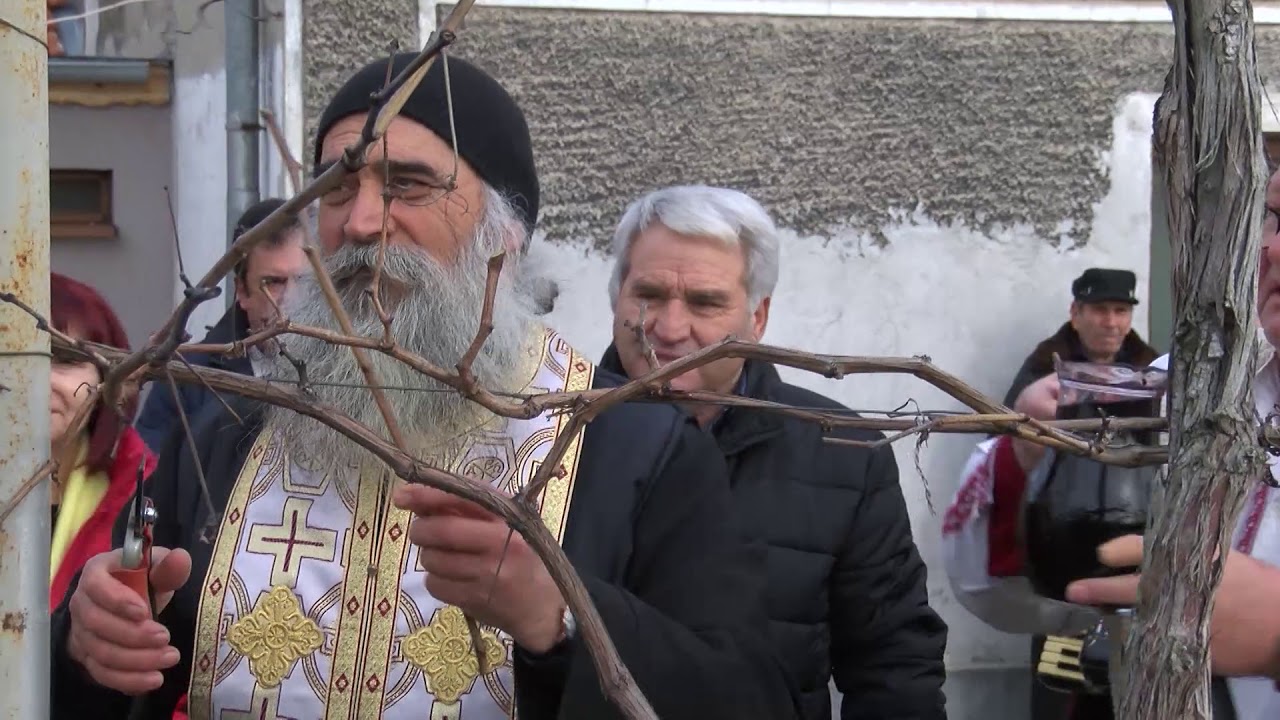 Празнуваха Трифон Зарезан в с. Голямо Асеново