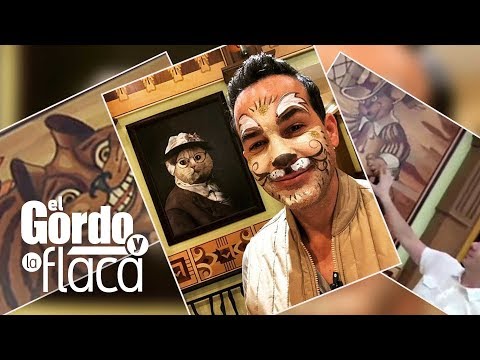 Para amantes de los gatos: Carlos visitó la colección de estos felinos más grande del mundo | GYF