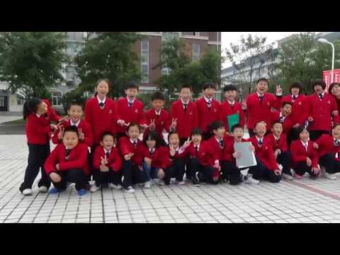 The road has been taken - Doudou Zhang