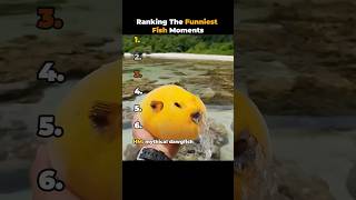 Miniature vidéo