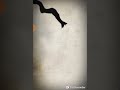 Fico FODA MATO TUDO