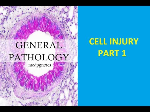 GENERAL PATHOLOGY II CHAPTER 2 II CELL INJURY II PART 1 II ROBBINS PATHOLOGY