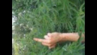 Filthy Frank - Smonk Weed [BASS BOOST v3]