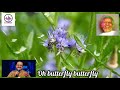 OH BUTTERFLY BUTTERFLY II SP BALASUPRAMANIAM II ILAIYARAJA II HIGH QUALITY SOUND