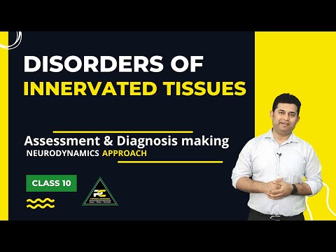 Conceptual Framework of Neurodynamics Treatment Approach The 3 Part System