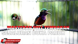 Download lagu FULL TEMBAKAN MASTERAN KONIN SEJALURAN ISTIMEWA MEWAH !! KONIN BUKA PARUH mp3 Download lagu FULL TEMBAKAN MASTERAN KONIN SEJALURAN ISTIMEWA MEWAH !! KONIN BUKA PARUH mp3