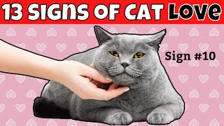 Download lagu 13 Signs Your Cat LOVES You mp3 Download lagu 13 Signs Your Cat LOVES You mp3