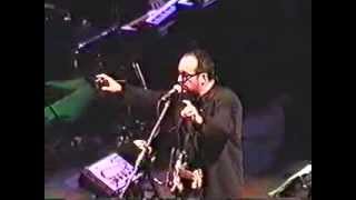 Elvis Costello 2002 - 15 Petals / Watching The Detectives