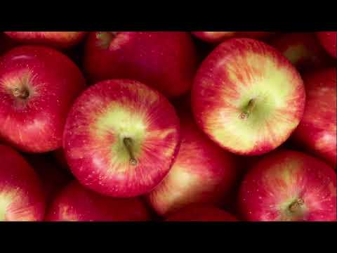 Náhled videa Alchymista jablečných snů - Virtual Insanity Camp