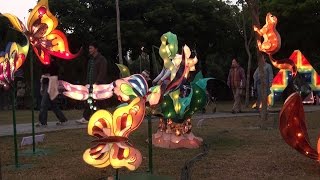 preview picture of video 'Тайвань. Алишань и Фестиваль фонарей в Тайбэе (Taiwan. Alishan & Taipei Lantern Festival)'