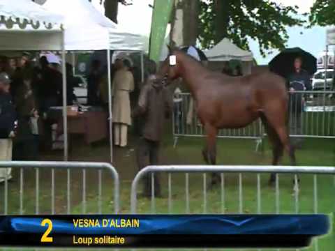 decize 2011 - Partie 1