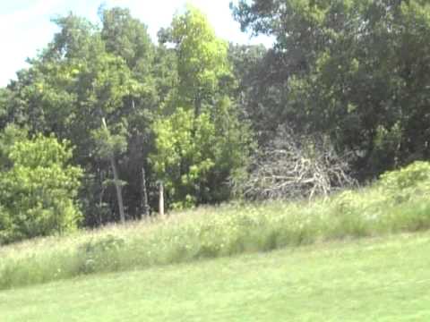 PA22/20 landing in Stirling Ontario after ground up restoration