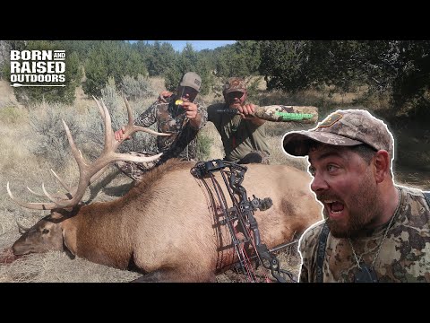 Situational Calling | How We Call ELK Into Bow Range