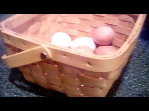 How to use an egg scale