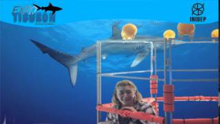 DIA 3 Expo Tiburon47