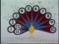 Sesame Street Peacock Feathers 20