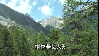 preview picture of video 'スイス　アルペッテの谷の高山植物'