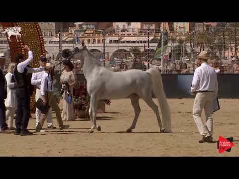 N.85 ASTREA DEL NINFEO - Menton 2019