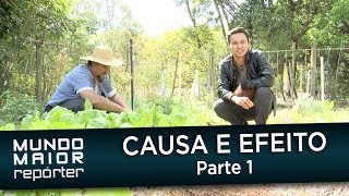 Mundo Maior Repórter - Causa e Efeito - Parte 1/4 (10/05/2014)