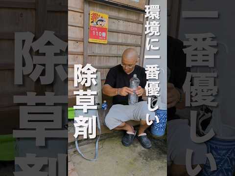 ラウンドアップに代わる除草剤はどれ？環境に優しく効果的な 10 のオプション  庭園