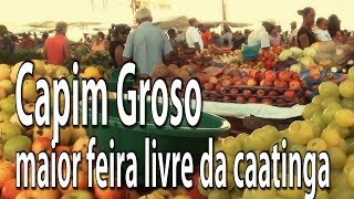 preview picture of video 'Passeio na feira livre de Capim Grosso 2015'