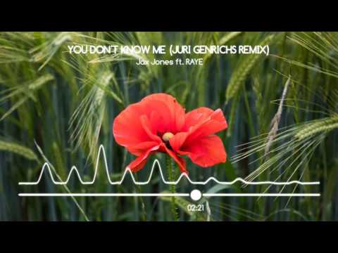 Jax Jones ft. RAYE - You Don't Know Me (Juri Genrichs Remix)