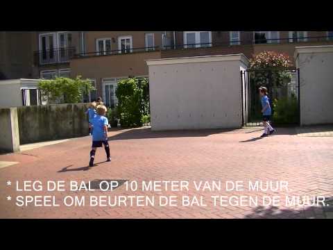 Zomerhuiswerk SV Brandevoort "muurtje trap"