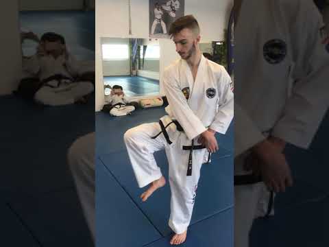 Choong-Jang With Corrections By Senior Grand Master Lu