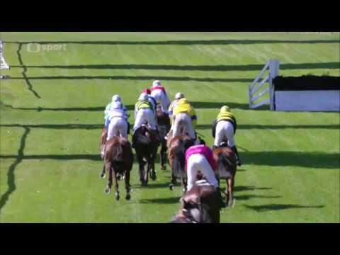 2017.06.24 II. kval. na 127. Velkou pardubickou - Goscater