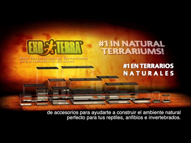 Vídeo relacionado con Exo Terra Guijarros Turtle Pebbles de 10-20 mm - 4,54 kg
