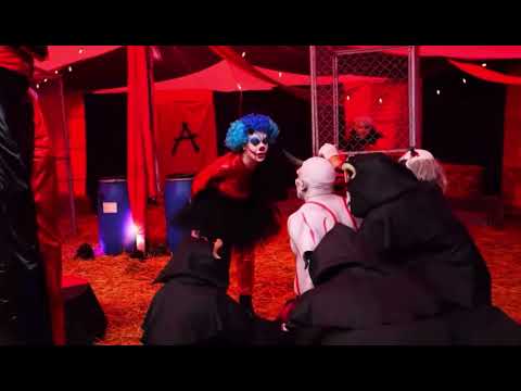 Adiós Luli... 💙 (Mi despedida para los payasos de Alfa)