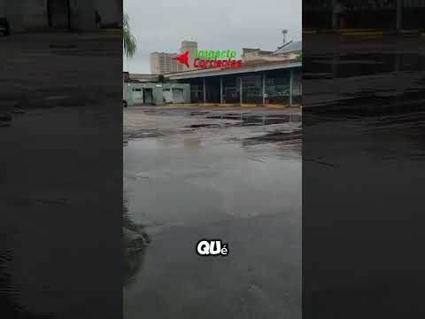 Así luce hoy la terminal de Goya Corrientes #noticias #impactocorrientes