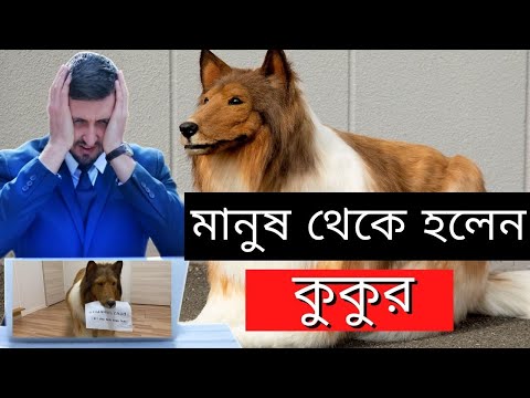 কুকুরের রূপ নিলেন জাপানি নাগরিক ১৪ লাখ টাকায়।Knr_Media।Kamrun Nahar Rakhi।